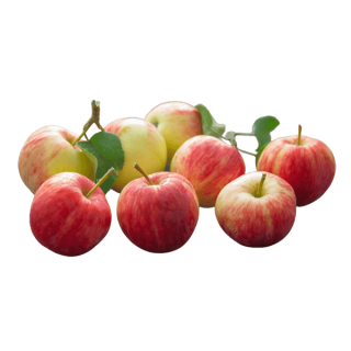 Apples , 1 kg