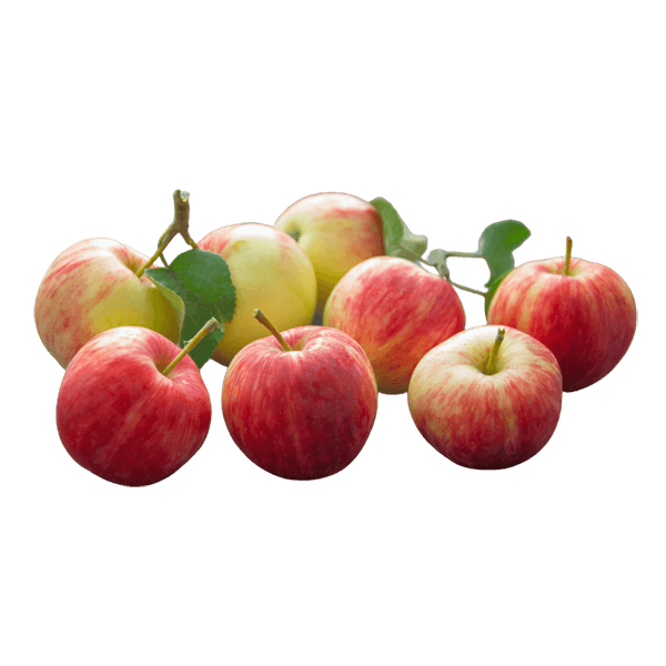 Apples , 1 kg